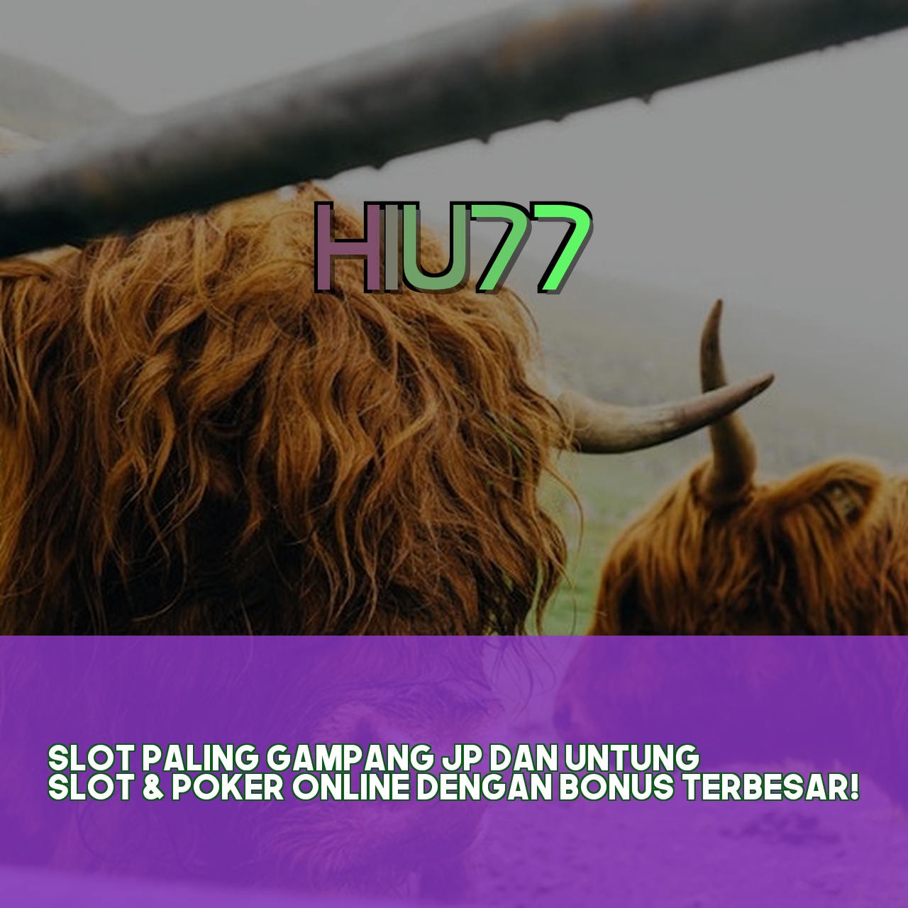 HIU77