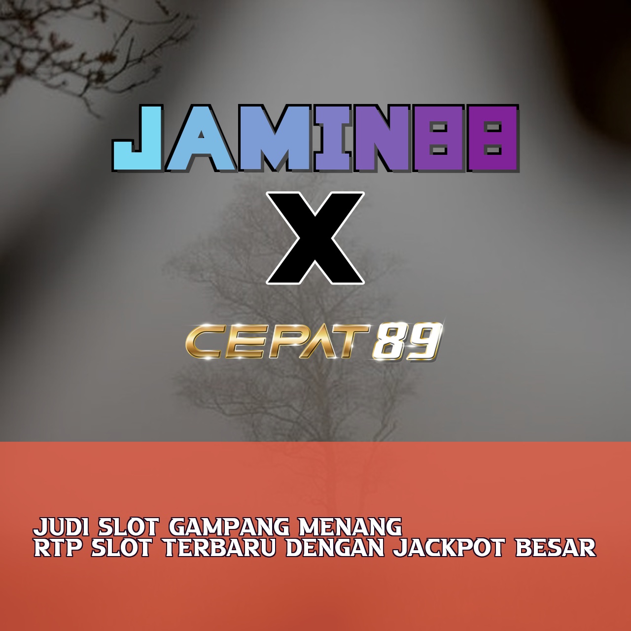 JAMIN88