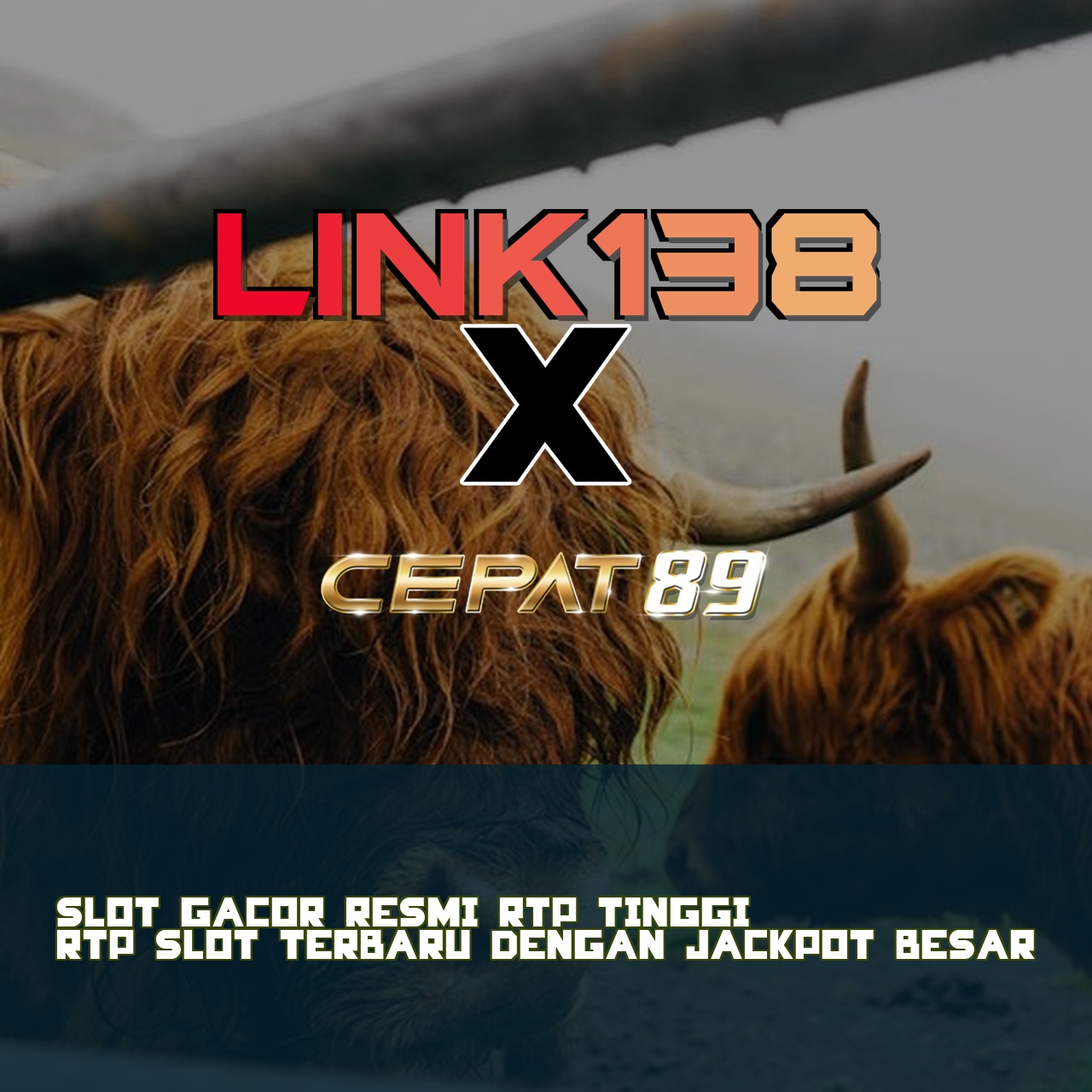 LINK138