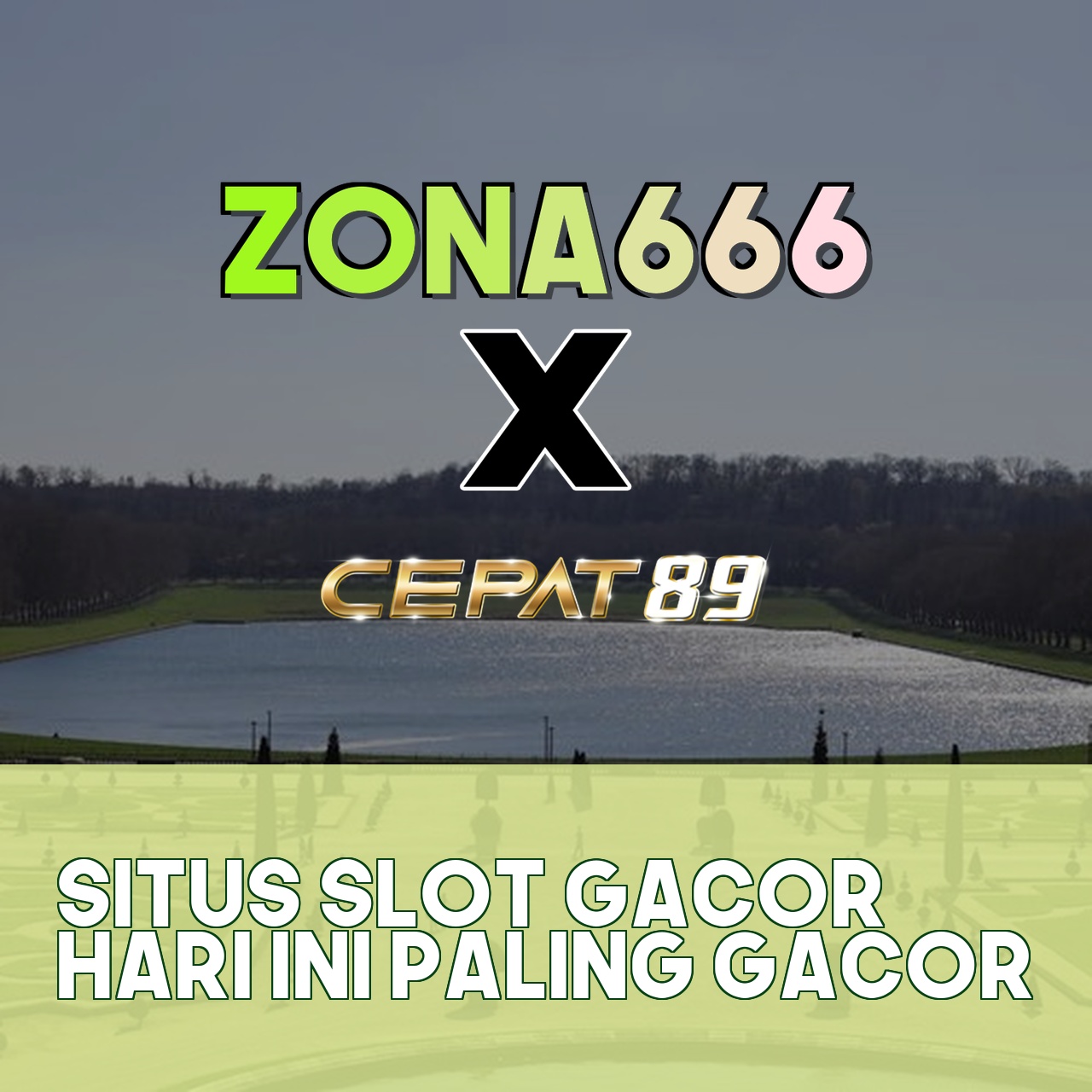 ZONA666